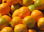 Cara Cara Orange Vanilla Balsamic - Drizzle Olive Oil and Vinegar Tasting Room