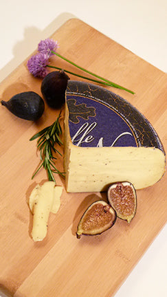 Dutch Cheese